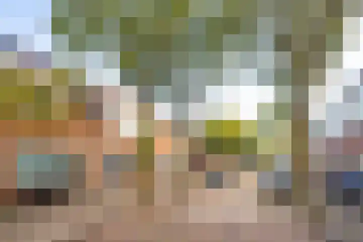 Wijnbesstraat 16 Utrecht thumbnail 35