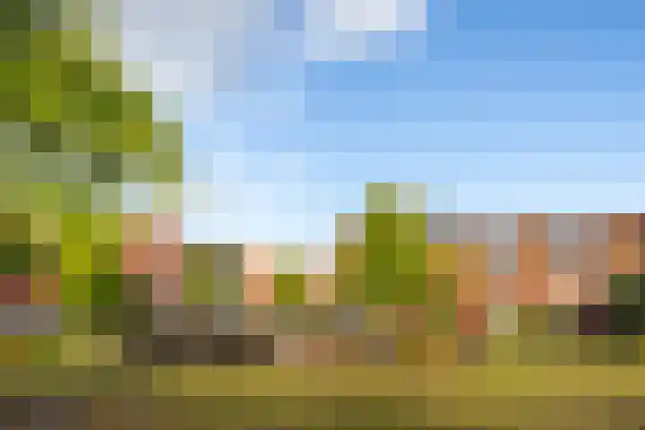 Wijnbesstraat 16 Utrecht thumbnail 36