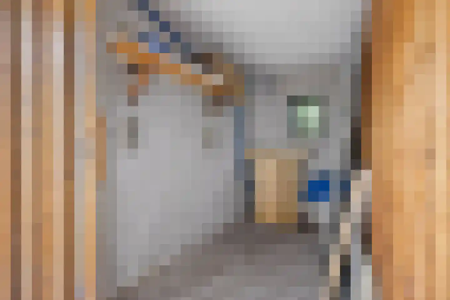 Wijnbesstraat 5 Nijmegen thumbnail 25