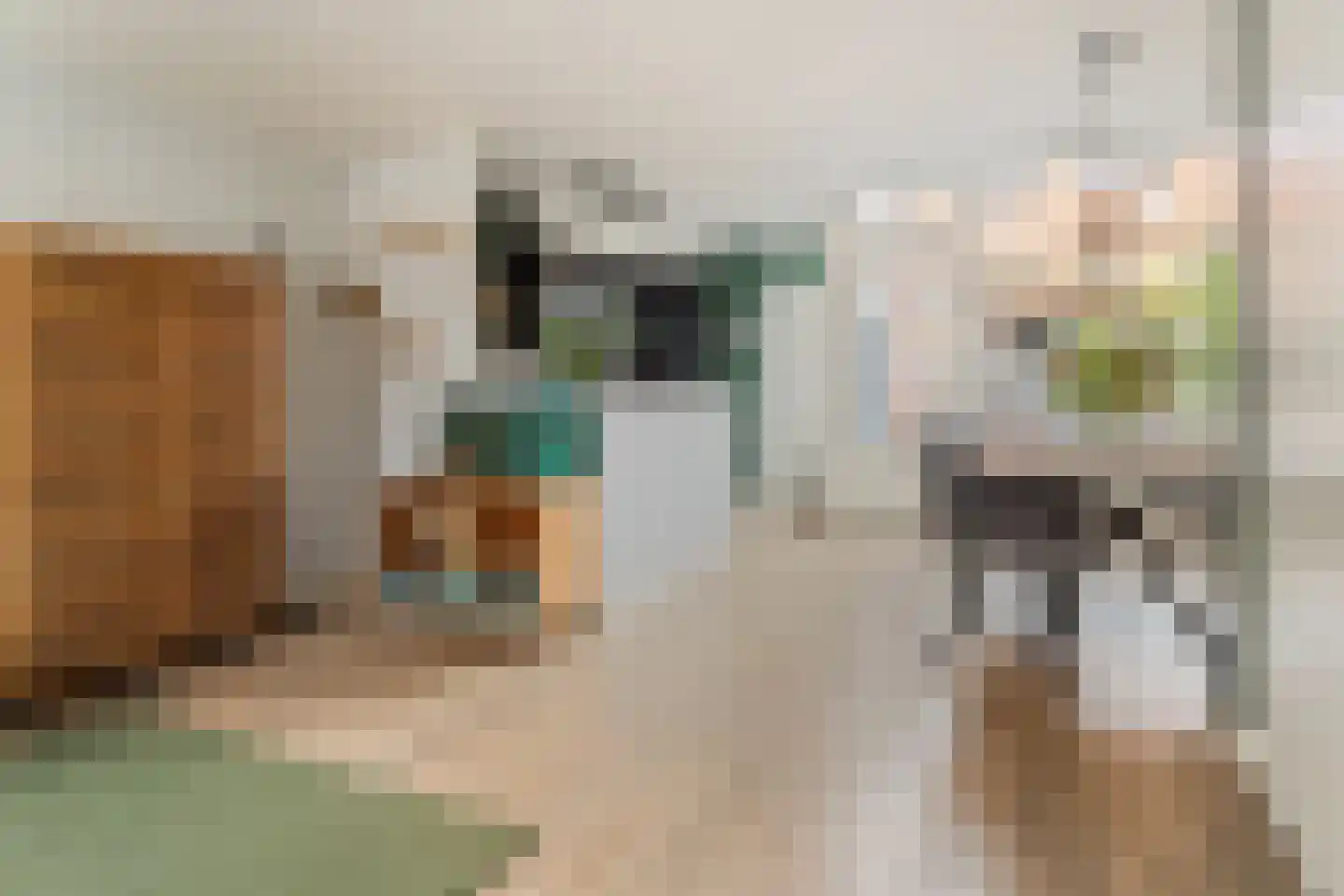Wijnbesstraat 6 Utrecht thumbnail 12
