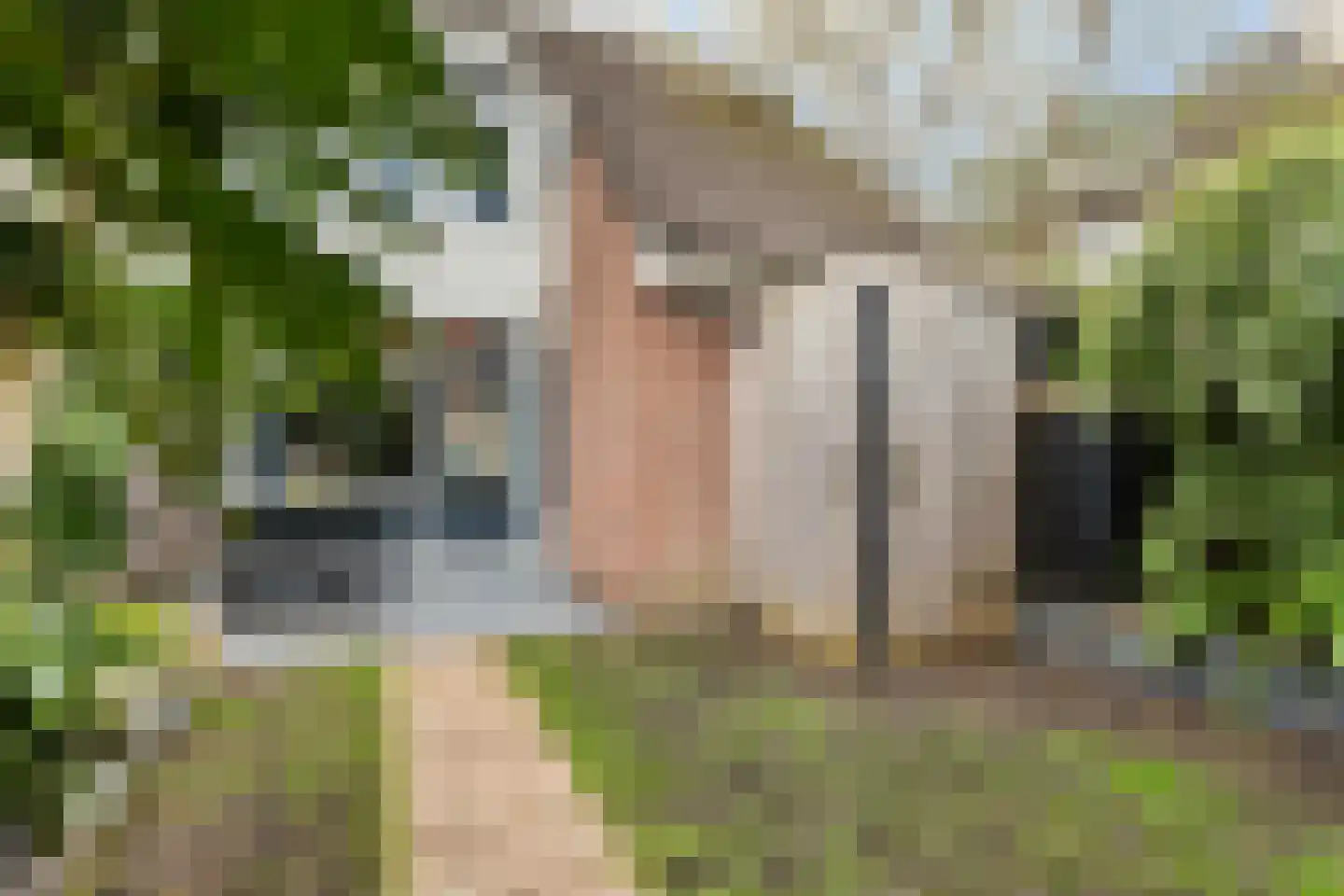 Wijnbesstraat 6 Utrecht thumbnail 36