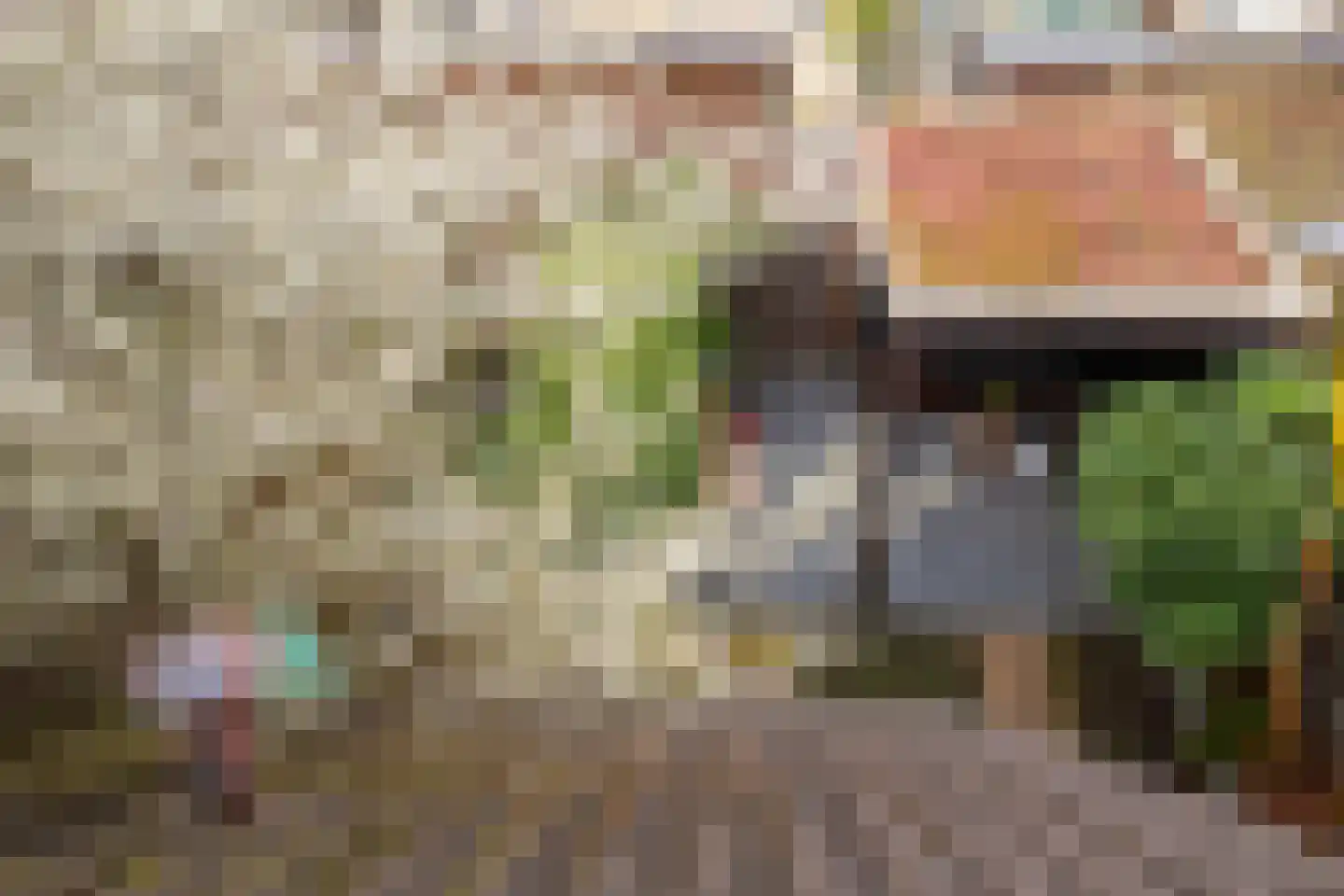 Wijnbesstraat 6 Utrecht thumbnail 39