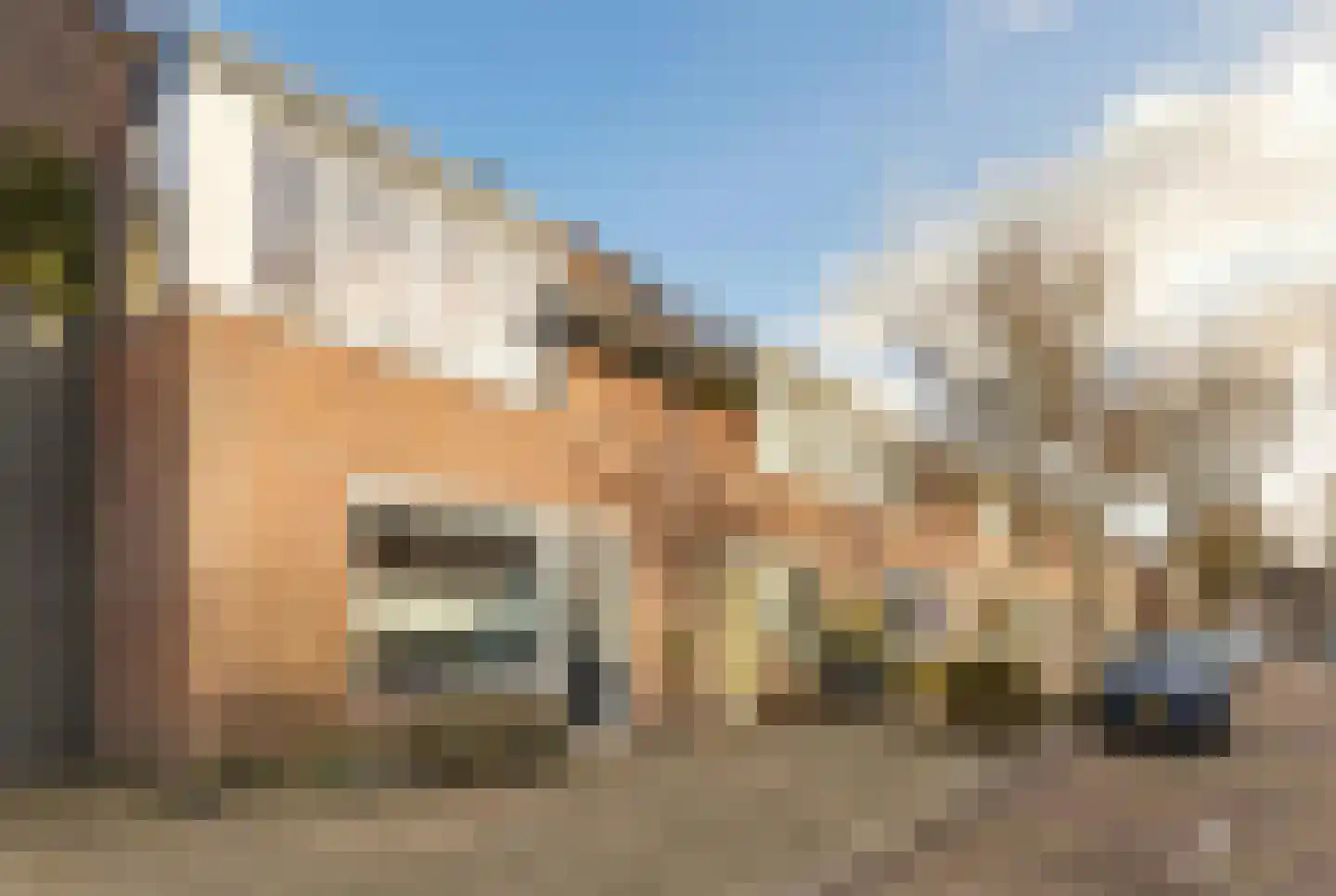 Wijnbesstraat 6 Utrecht thumbnail 5