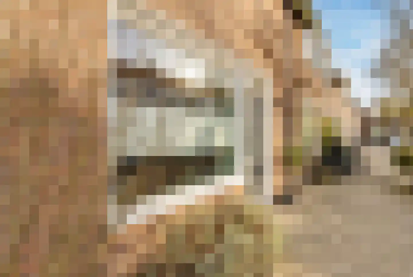Wijnbesstraat 6 Utrecht thumbnail 6