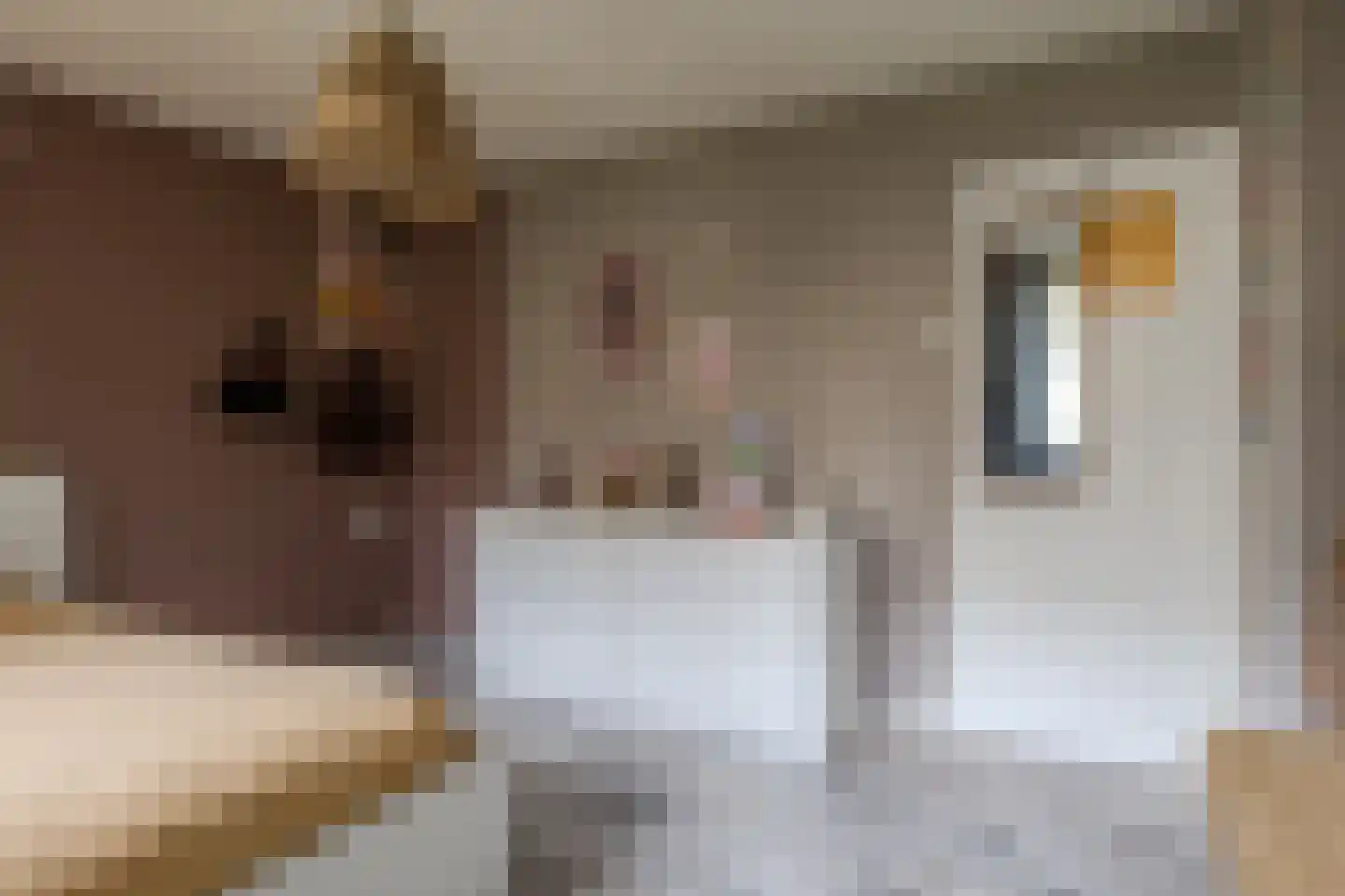 Wijnbesstraat 61 Nijmegen thumbnail 25