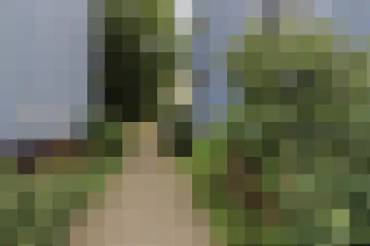 Wijnbesstraat 63 Nijmegen thumbnail 39