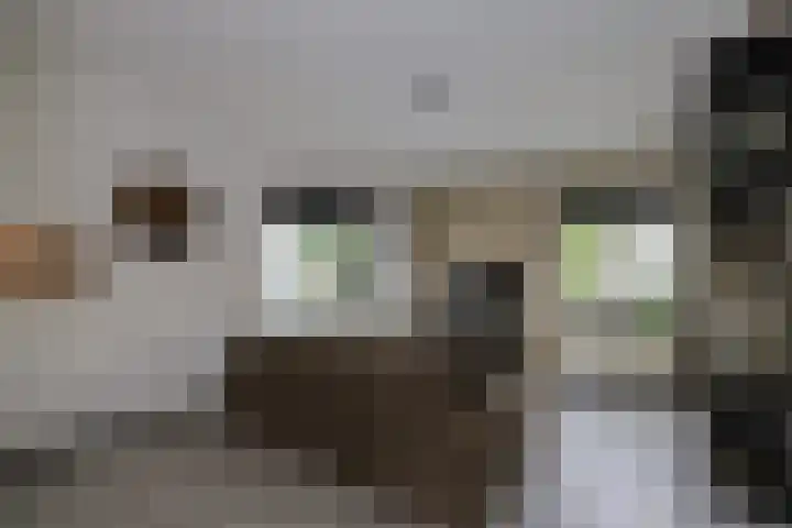Wijnbesstraat 63 Nijmegen thumbnail 4