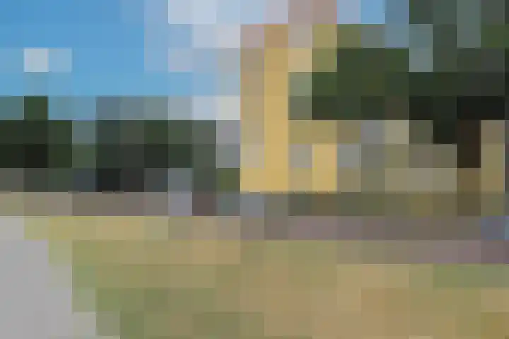 Wijnbesstraat 63 Nijmegen thumbnail 43