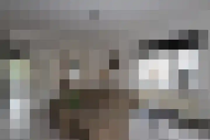 Wijnbesstraat 63 Nijmegen thumbnail 5