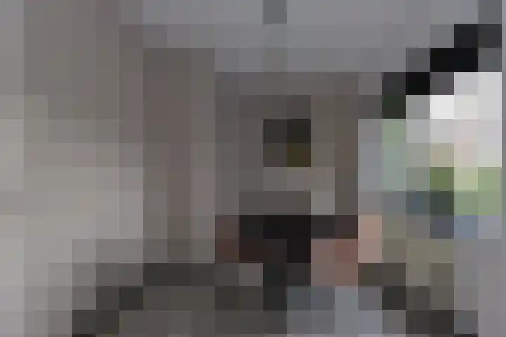 Wijnbesstraat 63 Nijmegen thumbnail 7