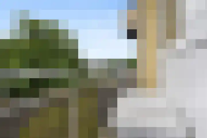 Wijnbesstraat 73 Nijmegen thumbnail 17