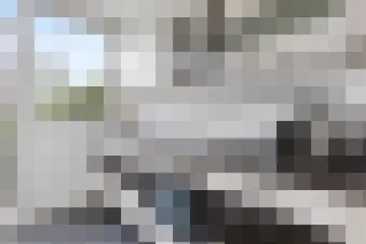 Wijnbesstraat 73 Nijmegen thumbnail 6