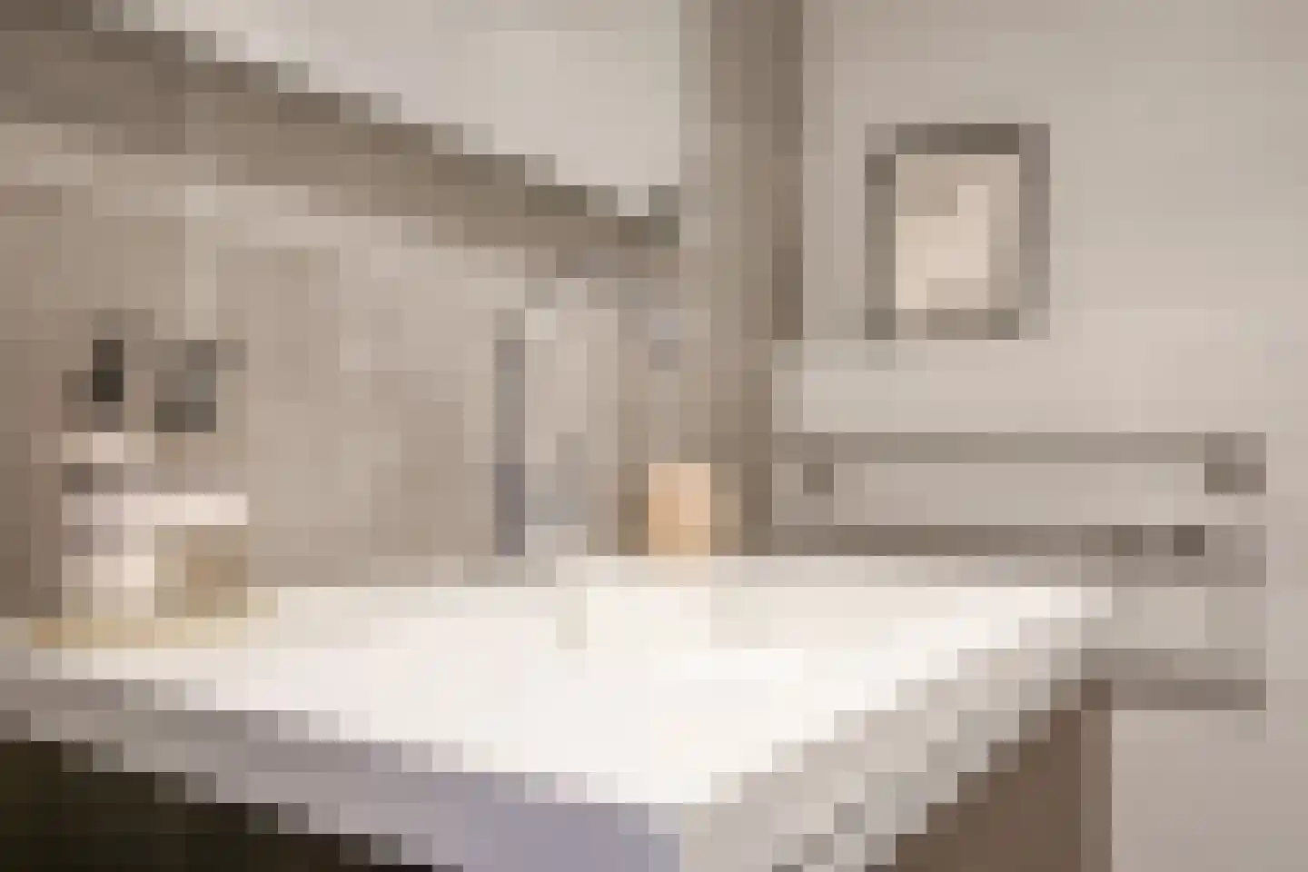 Wijnbesstraat 79 Nijmegen thumbnail 32