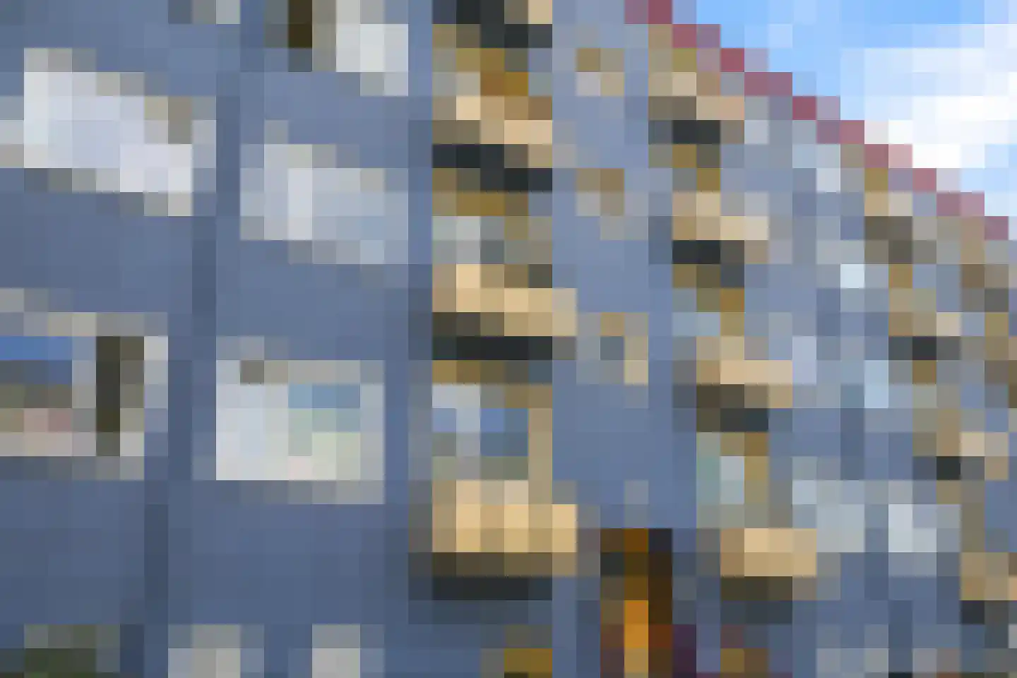 Wijnbesstraat 79 Nijmegen thumbnail 5