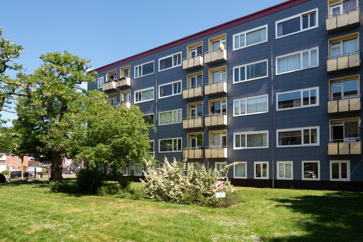 Wijnbesstraat 81 in Nijmegen Foto