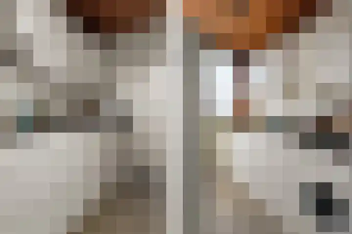 Wijnbesstraat 9 Nijmegen thumbnail 17