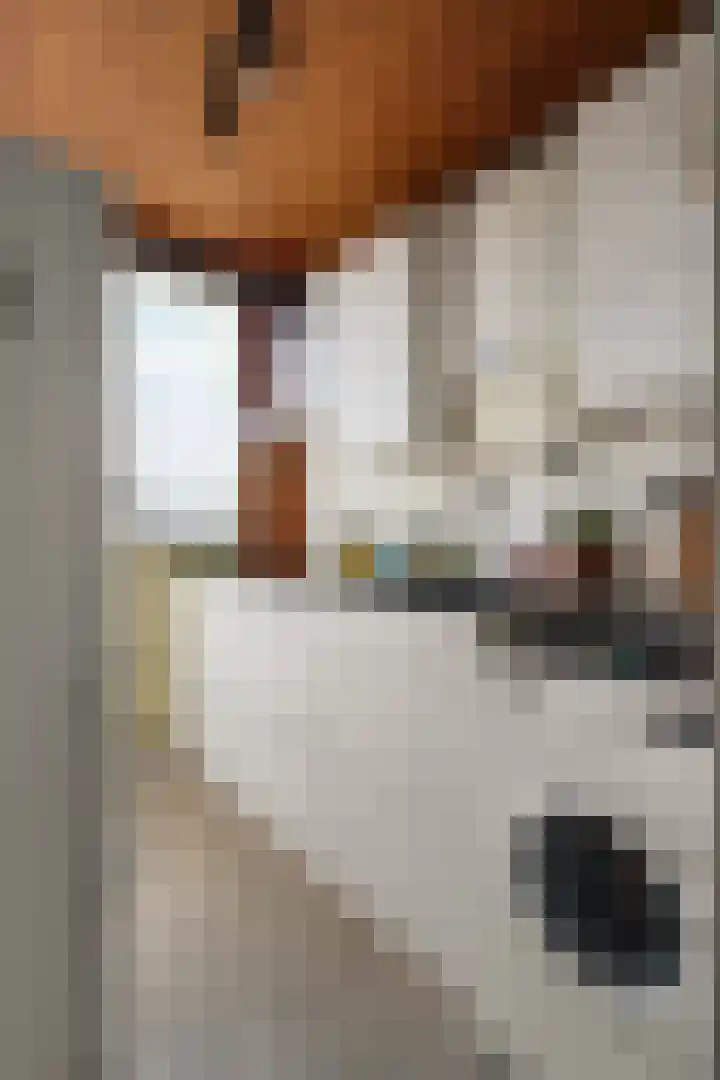 Wijnbesstraat 9 Nijmegen thumbnail 18