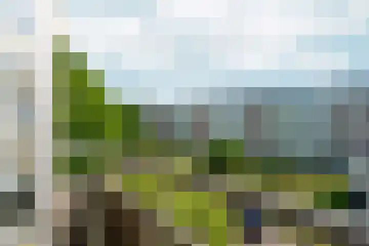 Wijnbesstraat 9 Nijmegen thumbnail 20