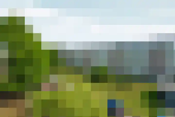 Wijnbesstraat 9 Nijmegen thumbnail 21