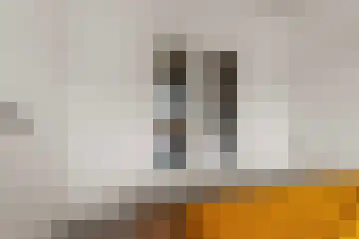 Wijnbesstraat 9 Nijmegen thumbnail 22
