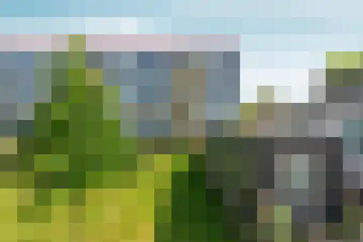 Wijnbesstraat 9 Nijmegen thumbnail 33
