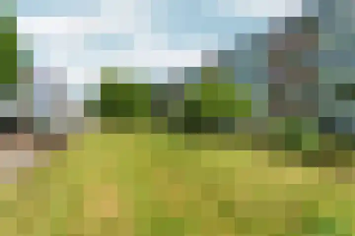 Wijnbesstraat 9 Nijmegen thumbnail 34