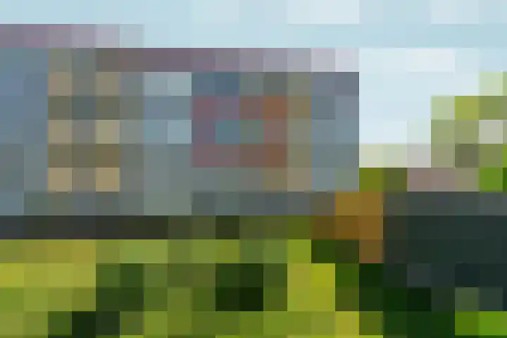 Wijnbesstraat 9 Nijmegen thumbnail 35