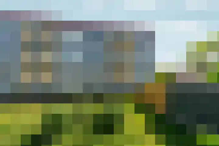 Wijnbesstraat 9 Nijmegen thumbnail 36