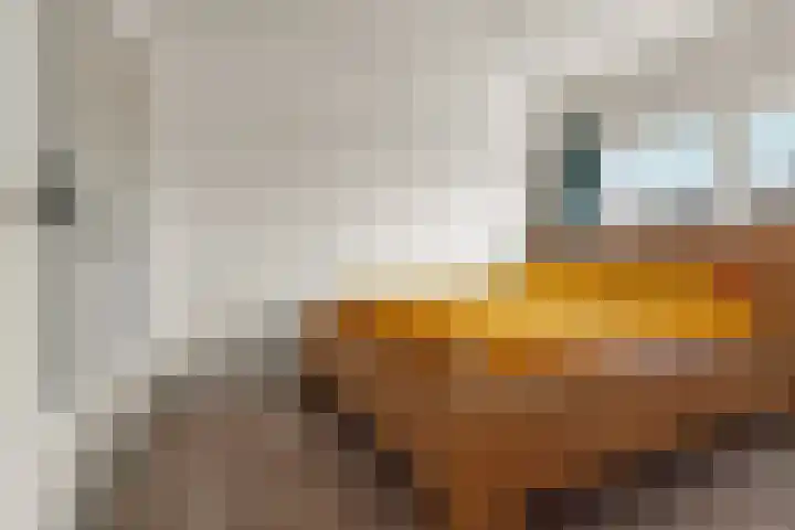 Wijnbesstraat 9 Nijmegen thumbnail 5