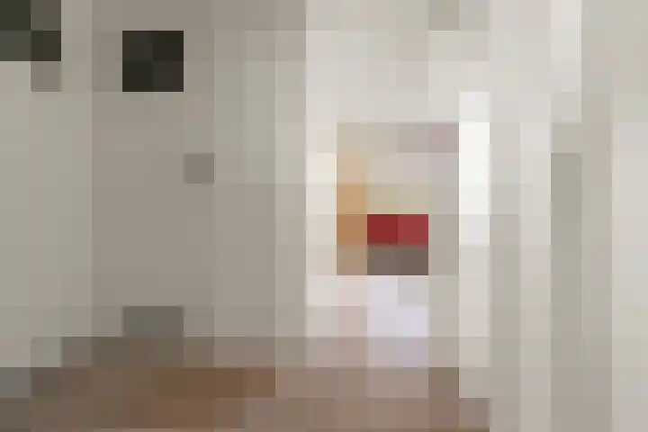 Wijnbesstraat 9 Nijmegen thumbnail 6
