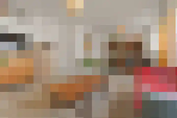 Wijnbesstraat 9 Nijmegen thumbnail 8