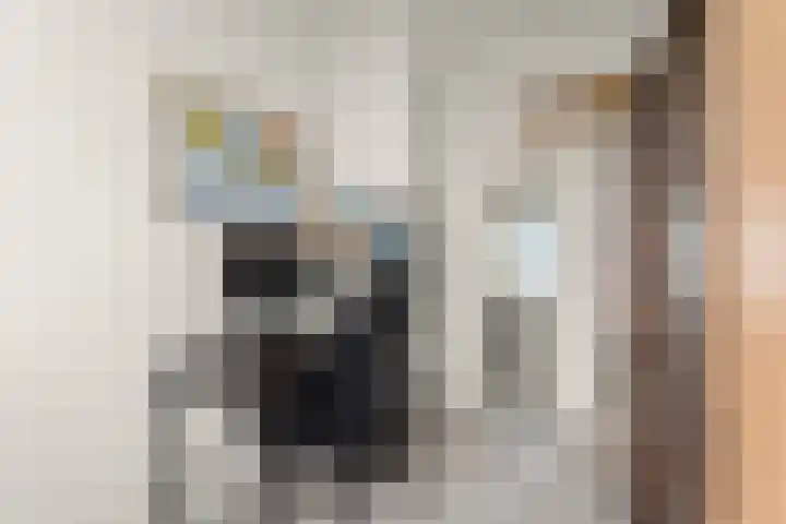 Wijnbesstraat 99 Nijmegen thumbnail 21