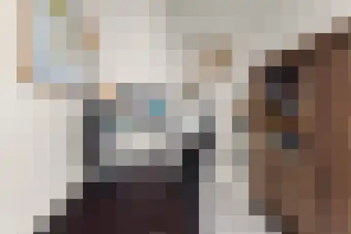 Wijnbesstraat 99 Nijmegen thumbnail 22