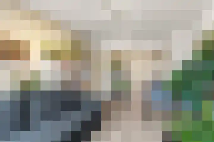 Wijnbesstraat 99 Nijmegen thumbnail 8