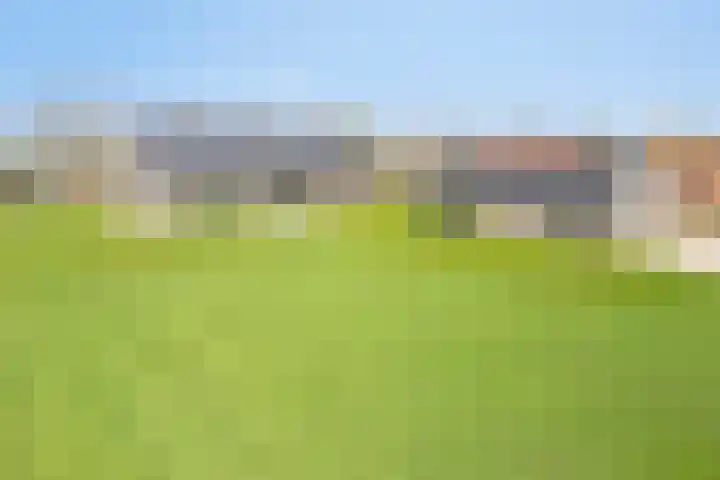Wijnboomlaan 20 Gemert