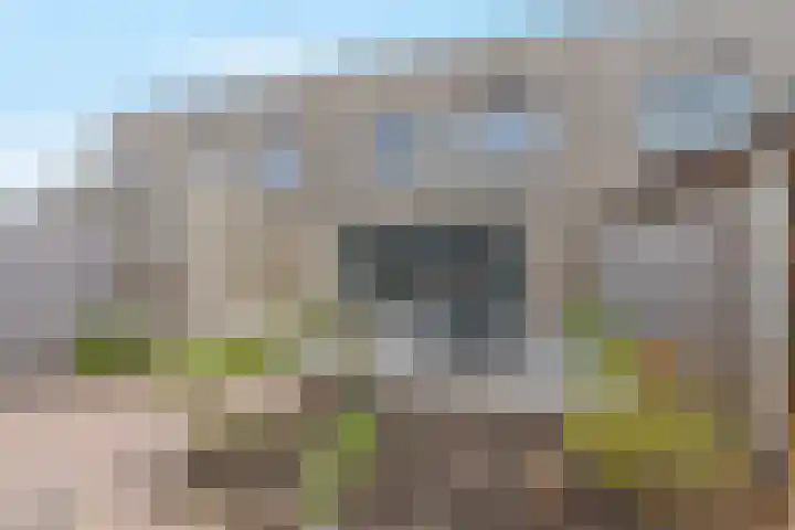 Wijnbouw 11 Houten thumbnail 10