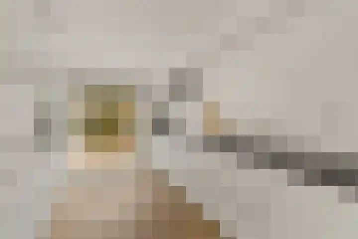 Wijnbouw 11 Houten thumbnail 11