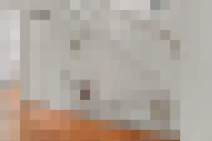 Wijnbouw 11 Houten thumbnail 16
