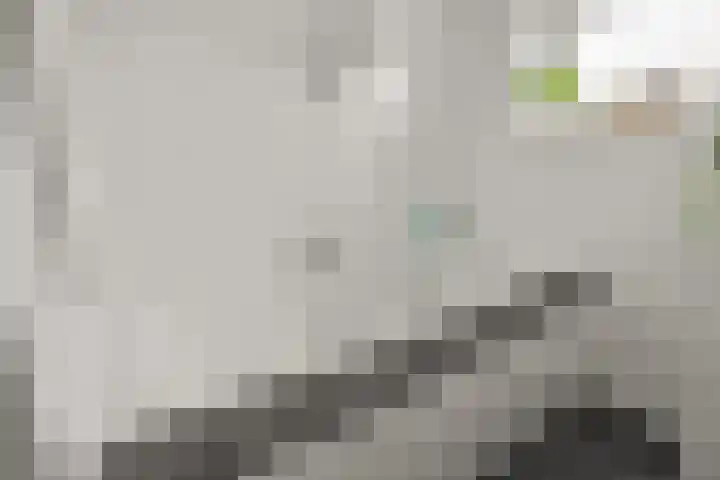Wijnbouw 11 Houten thumbnail 21