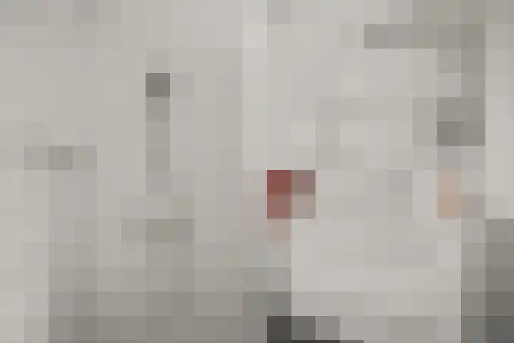 Wijnbouw 11 Houten thumbnail 22