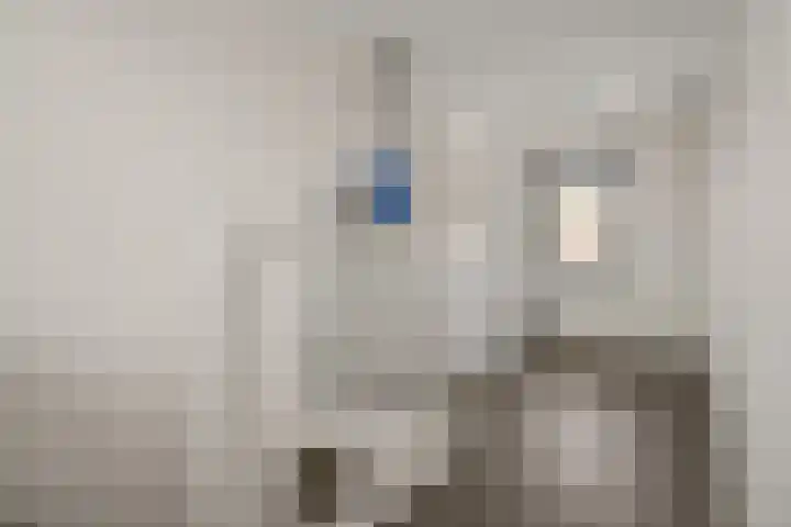 Wijnbouw 11 Houten thumbnail 26