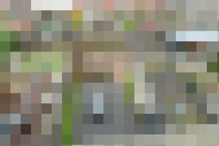 Wijnbouw 11 Houten thumbnail 30
