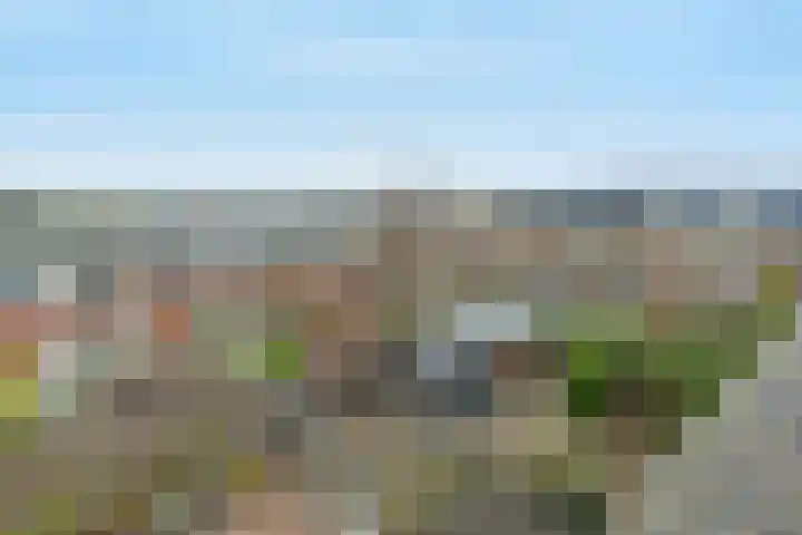 Wijnbouw 11 Houten thumbnail 31