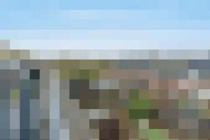 Wijnbouw 11 Houten thumbnail 32