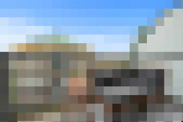 Wijnbouw 26 Houten thumbnail 12