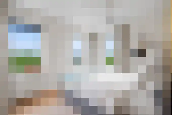 Wijnbouw 26 Houten thumbnail 13