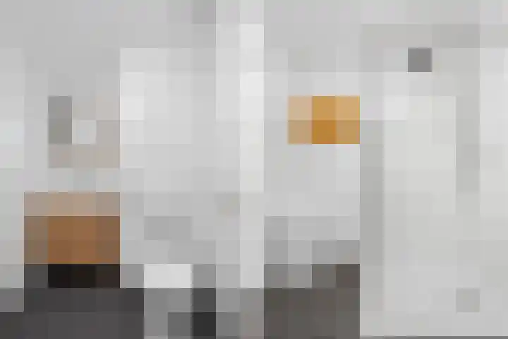 Wijnbouw 26 Houten thumbnail 17