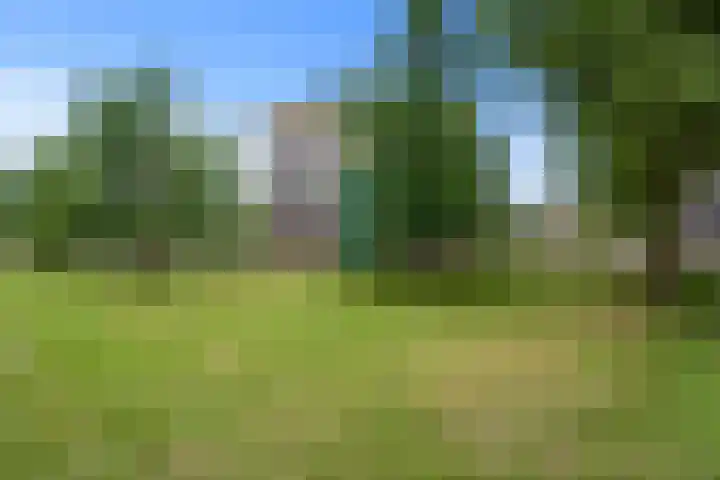 Wijnbouw 26 Houten thumbnail 27
