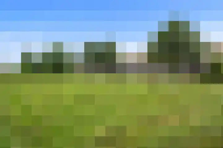Wijnbouw 26 Houten thumbnail 28
