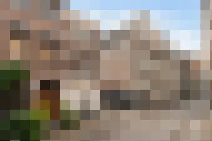 Wijnbrug 5 C Dordrecht thumbnail 33